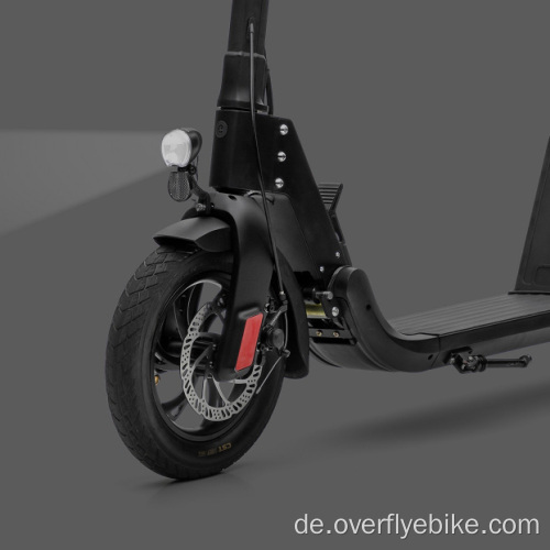 ES06 Preisgekrönter E-Scooter